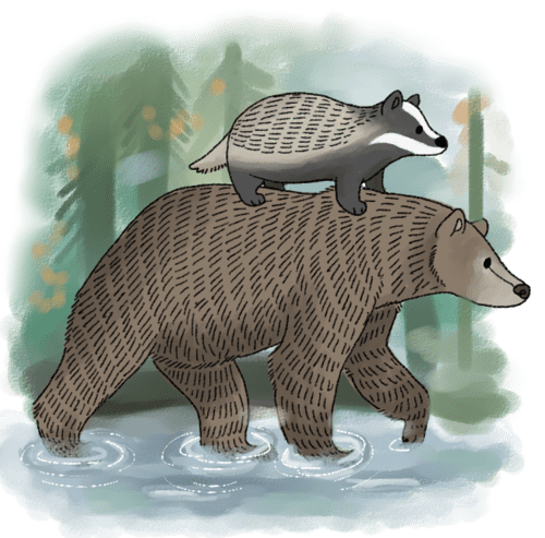 THE BADGER AND THE BEAR बिज्जू और भालू